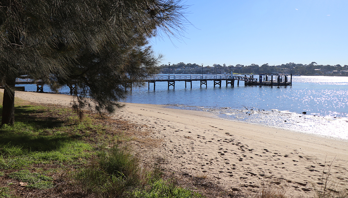 Bayview Park (Concord) Community Clean-up | Parramatta River