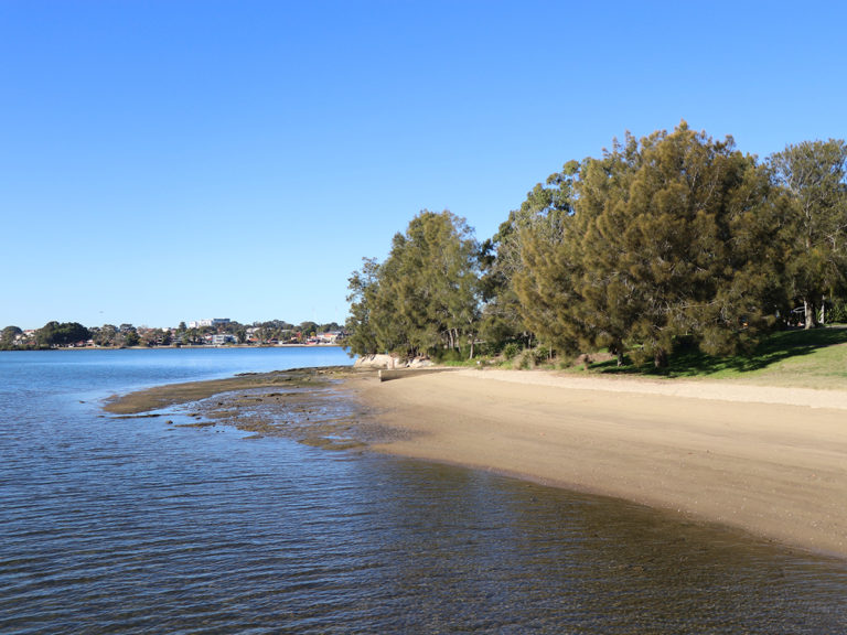 Bayview Park (Concord) Community Clean-up | Parramatta River